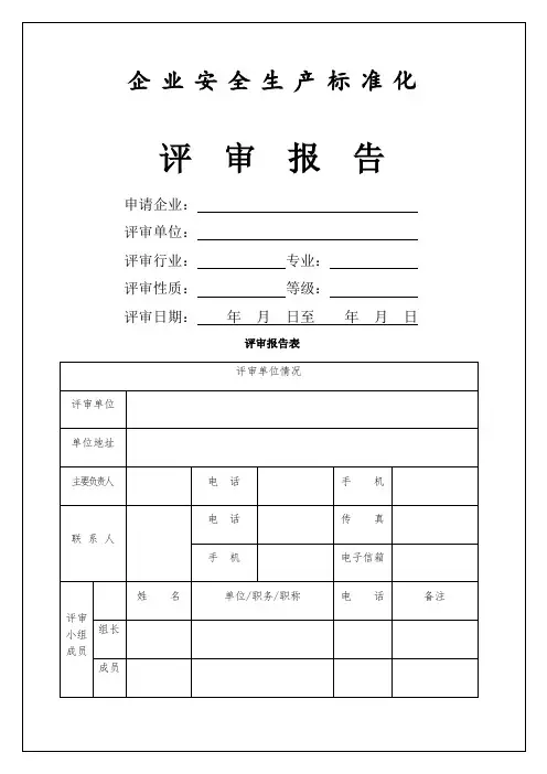 企业安全生产标准化 评审报告 
