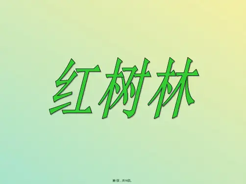 北师大版五年级语文上册《红树林》新PPT课件(与“红树林”相关文档)共16张PPT