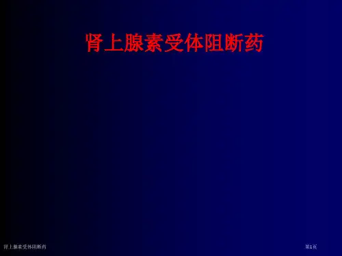 肾上腺素受体阻断药