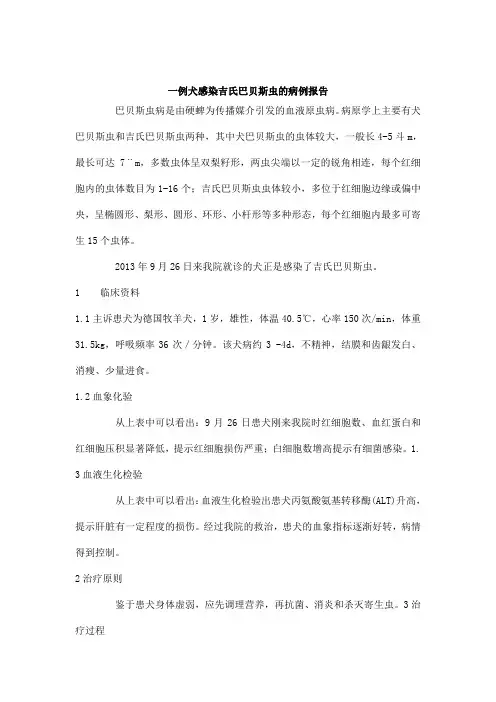 一例犬感染吉氏巴贝斯虫的病例报告