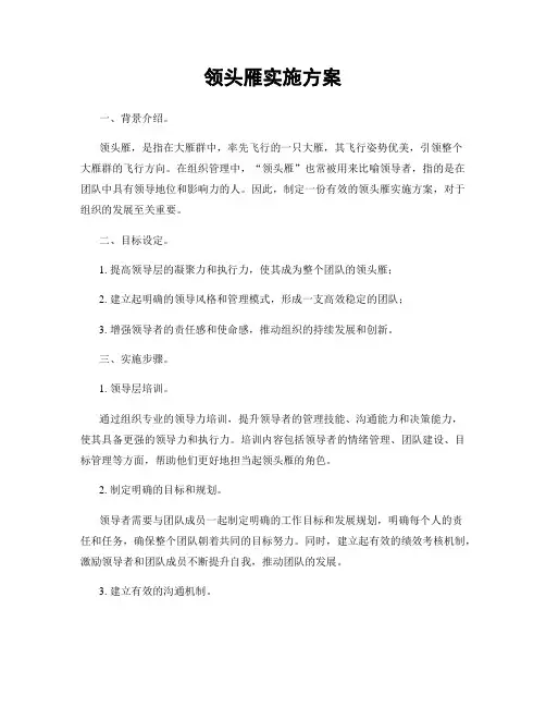 领头雁实施方案