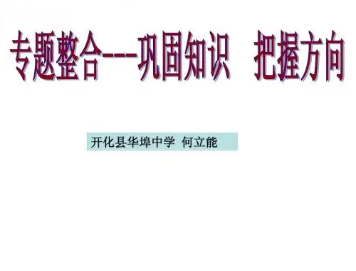 何立能专题三 专题整合