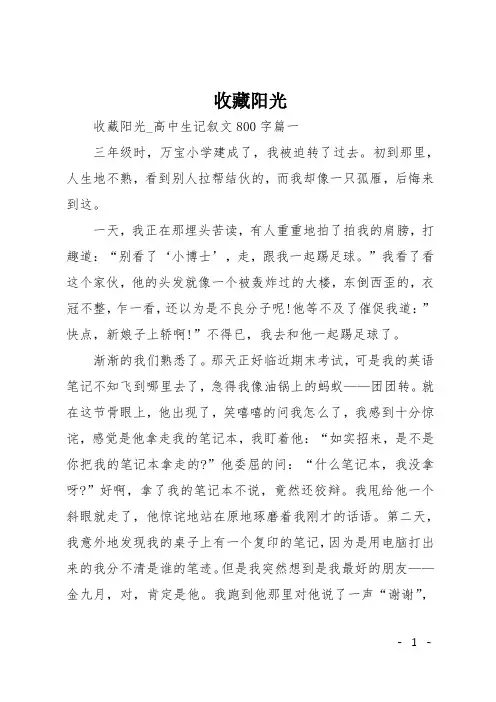 高三记叙文：收藏阳光