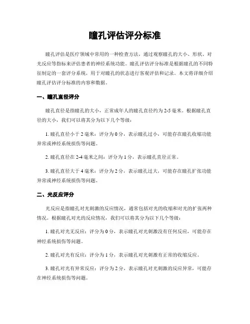 瞳孔评估评分标准