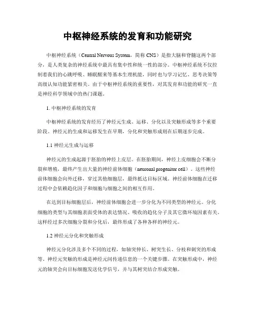 中枢神经系统的发育和功能研究