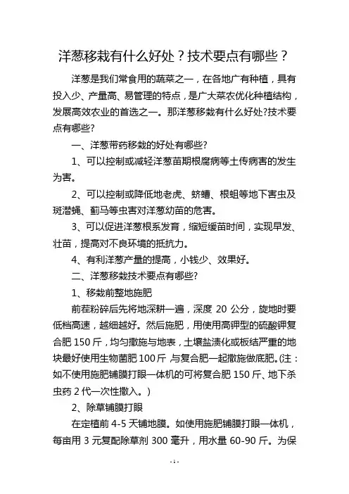 洋葱移栽有什么好处？技术要点有哪些？