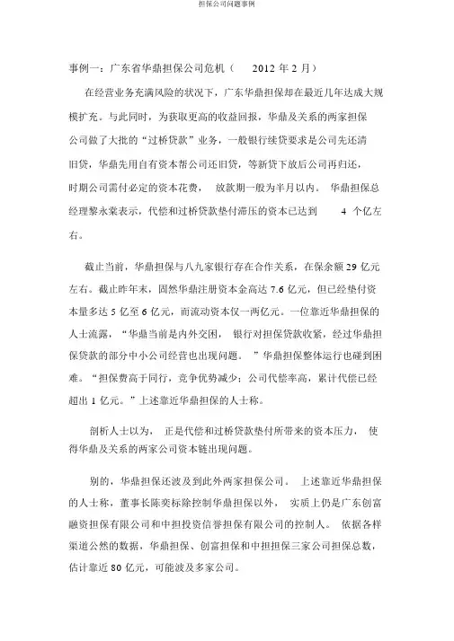 担保公司问题案例
