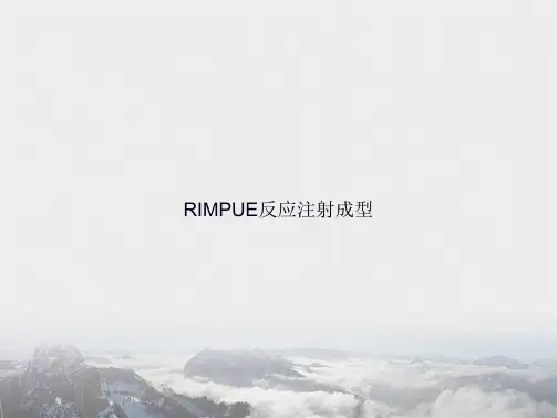 RIMPUE反应注射成型讲课文档