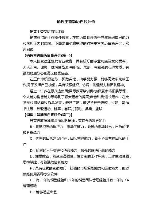 销售主管简历自我评价