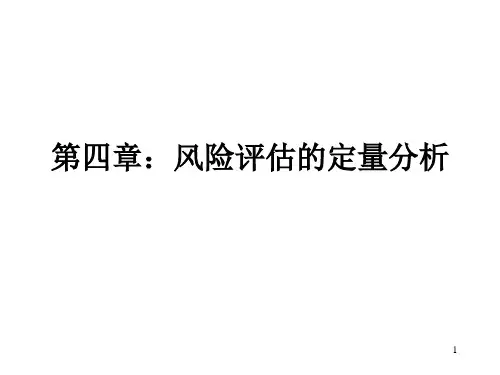 第四章：风险评估的定量分析PPT课件