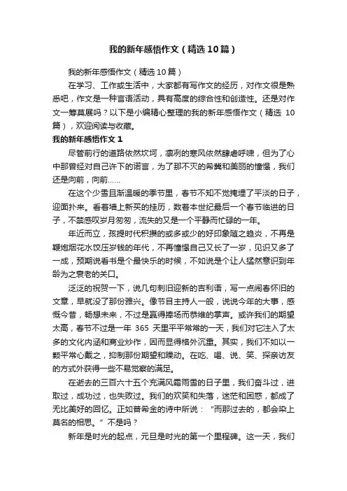 我的新年感悟作文（精选10篇）