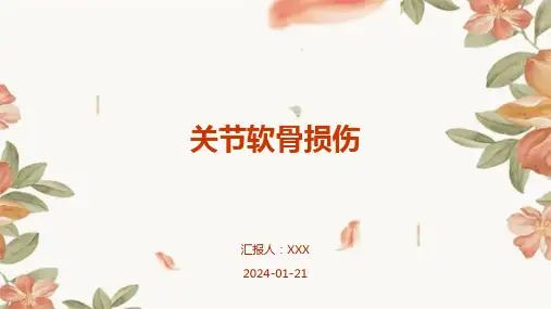 关节软骨损伤演示课件