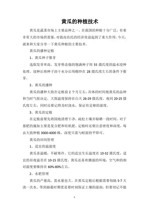黄瓜的种植技术