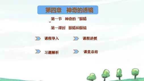 新沪科版八年级上册物理 第四章神奇的透镜 第三节神奇的“眼睛” 第1课时眼睛和眼镜  教学课件