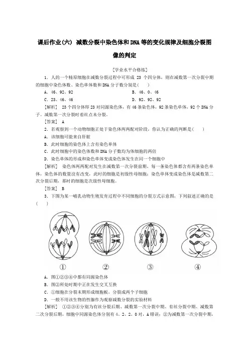 2020高中生物课后作业6减数分裂中染色体和DNA等的变化规律及细胞分裂图像的判定(含解析)新人教版必修2