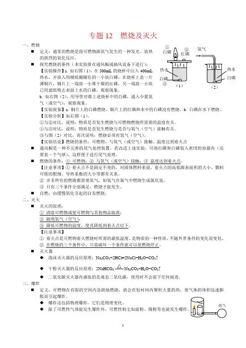 2024年中考化学专题复习——专题12  燃烧及灭火(全国通用)(解析版)