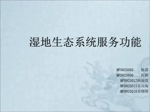 湿地生态系统服务功能