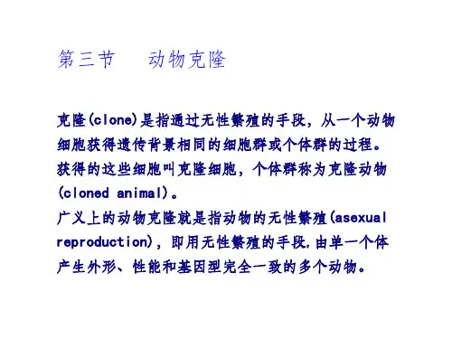 《动物克隆》PPT课件