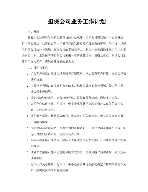 担保公司业务工作计划