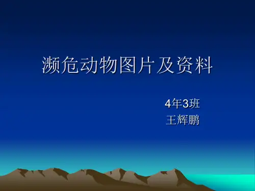 (完整版)濒危动物图片及资料