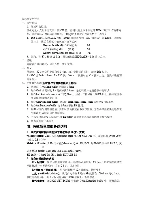 地高辛杂交方法