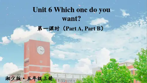 湘少版五年级英语Unit 6 Which one do you want课件