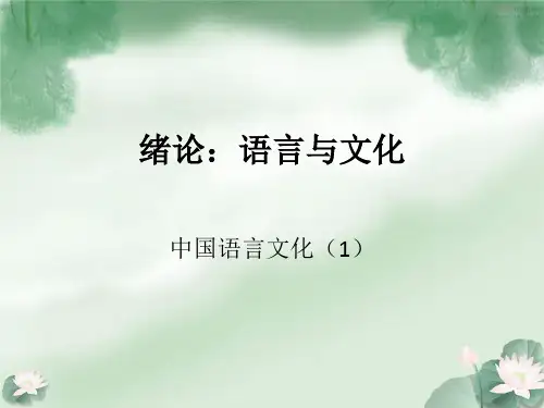 中国语言文化161PPT课件