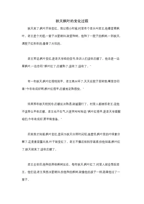 秋天枫叶的变化过程