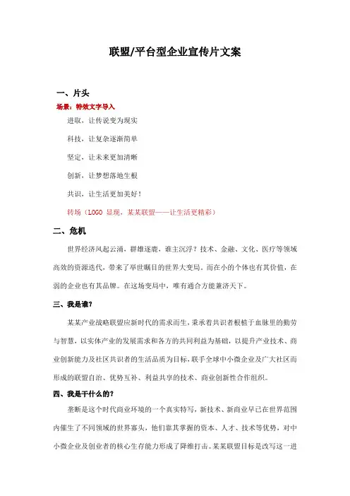 联盟平台型企业宣传片文案