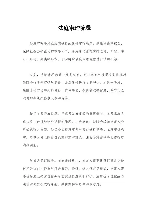 法庭审理流程