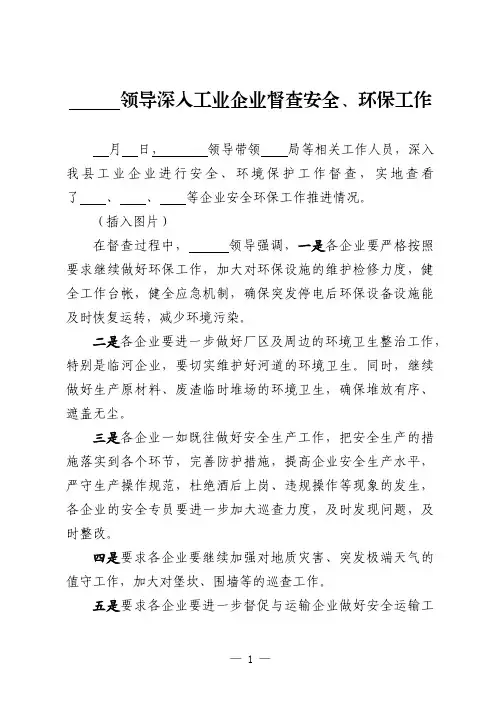 领导深入工业企业督查安全、环保工作简报(参考模板)