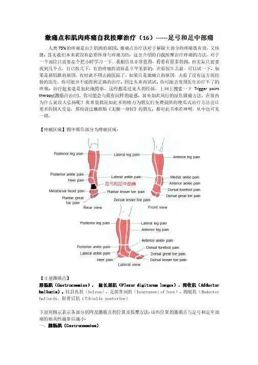 激痛点及肌肉疼痛自我按摩治疗(16)------足弓及足中部痛
