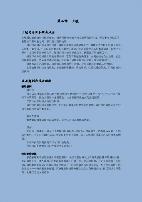 解剖学 第二章