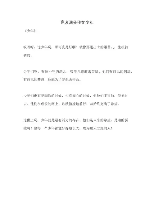 高考满分作文少年
