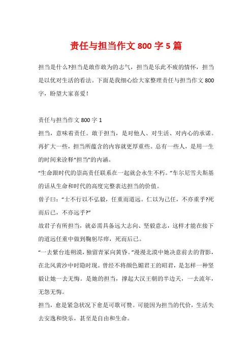 责任与担当作文800字5篇