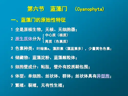 蓝藻门  (Cyanophyta)