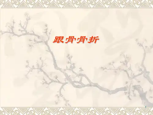跟骨骨折的治疗(教学)PPT课件