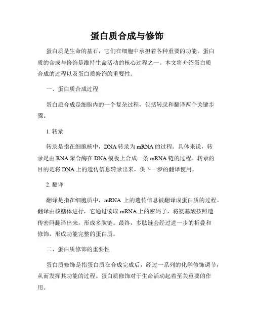 蛋白质合成与修饰
