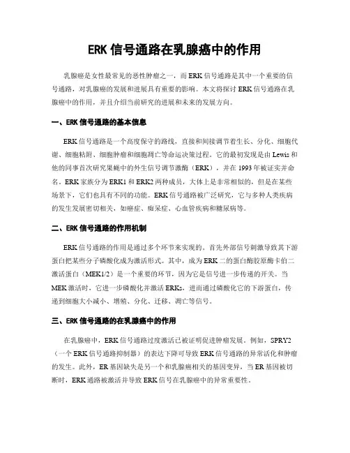 ERK信号通路在乳腺癌中的作用