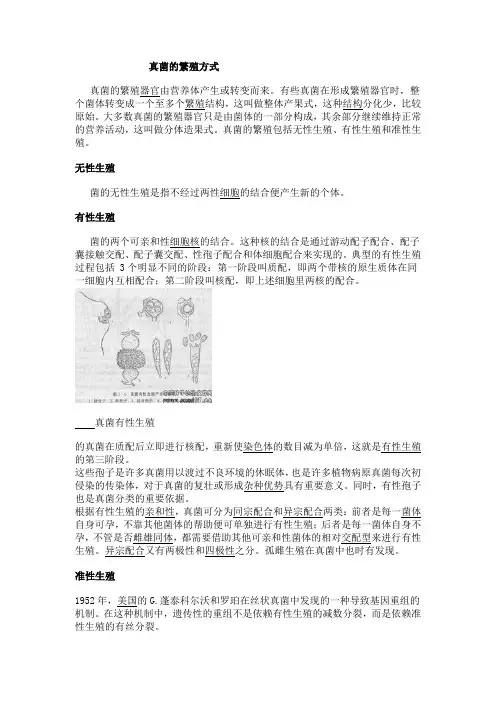 真菌的繁殖方式