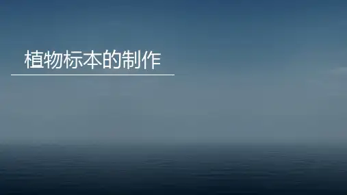 植物标本的制作(PPT)