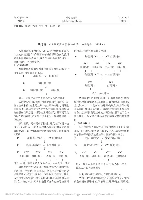 摩尔根的果蝇杂交实验的再探讨_王龙群 (1)