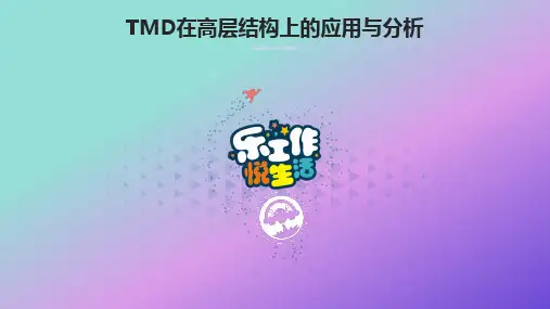 调谐质量阻尼器TMD