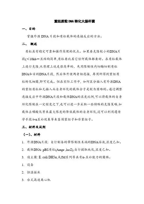 重组质粒DNA转化大肠杆菌