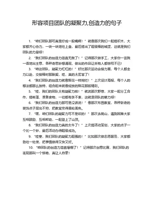 形容项目团队的凝聚力,创造力的句子