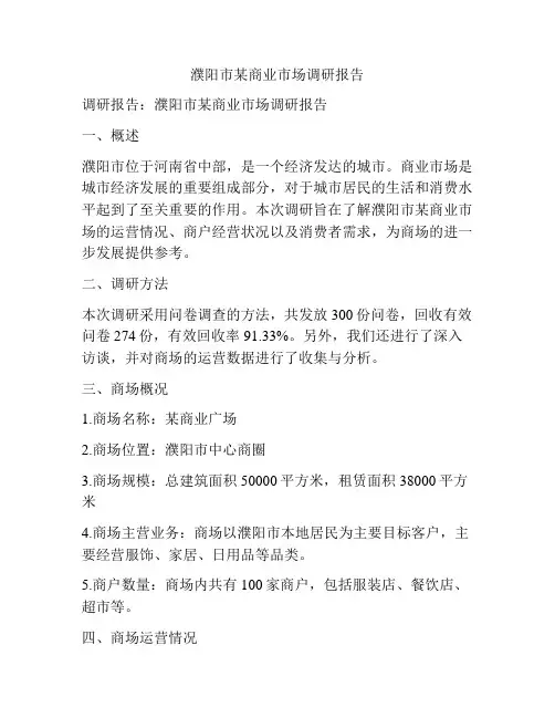 濮阳市某商业市场调研报告