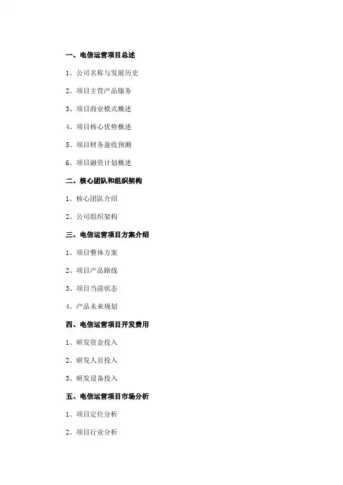 电信运营项目商业计划书