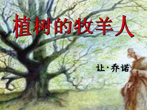 人教版七年级语文上册(2018部编版)第13课《植树的牧羊人》课件38张