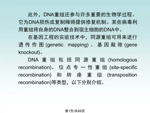 DNA重组
