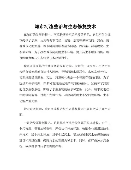 城市河流整治与生态修复技术